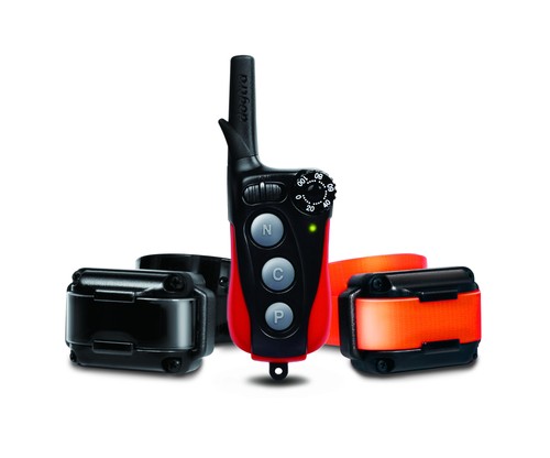 Collier dressage dogtra iq - dogtra,