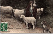 25554 cpa Gardeuse de Moutons