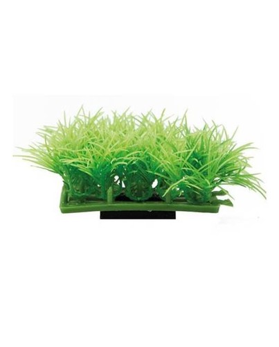 Hobby plant pad 7x4 5x4 - plant, 7x4,5x4