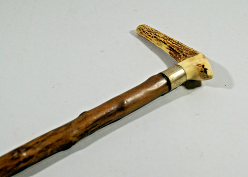 Canne ancienne bois - canne, en