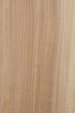 Corps Vide En Peuplier