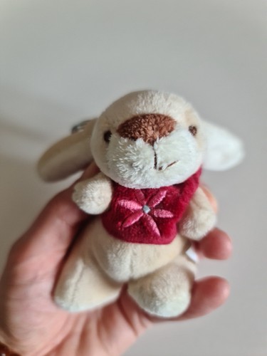 Peluche lapin porte - peluche, lapin,