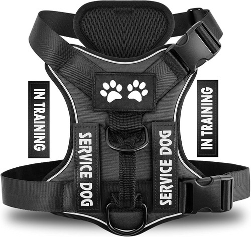 Harnais pour chien - harnais,