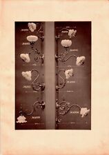 Lot of 8 Catalog Documents Chandeliers, Light Applique