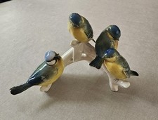 Famille De Mésanges En