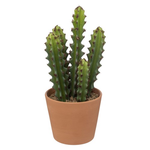 Plante artificielle cactus - artificielle,
