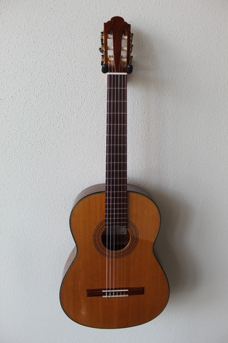 Brand new marlon - marlon, (francisco)