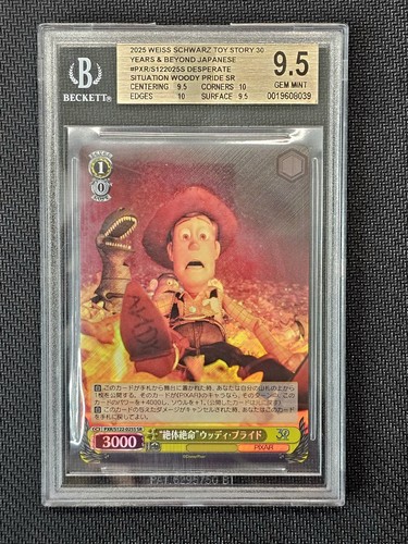 Bgs weiss schwarz - 9,5,