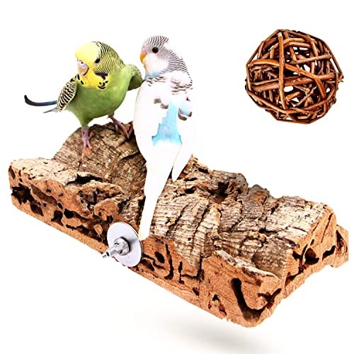 Accessoire oiseaux perruches - accessoire,
