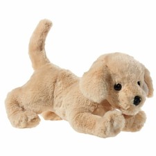 Heunec Chien Golden Retriever
