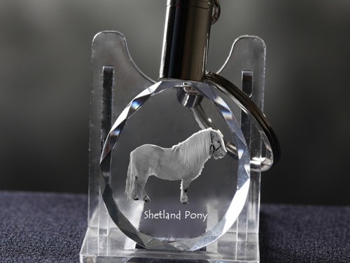 Poney shetland cheval - poney, cristal
