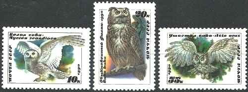 Timbres oiseaux rapaces hiboux - oiseaux,