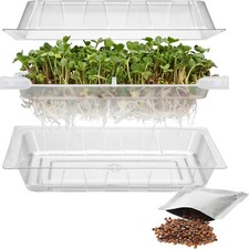 Germoir Czuprynka vert aux