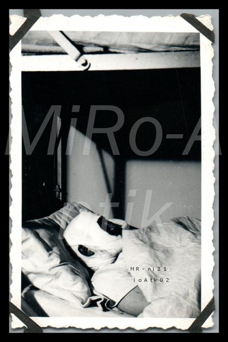 Photo torpilleur mouette - photo,,