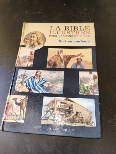 Bible illustrée pour garçons - illustrée,