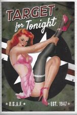 WW2 Pin up RAF Jeep US AAF