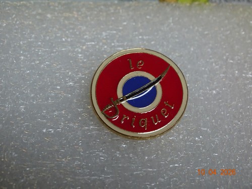 Superbe broche sabre - le,
