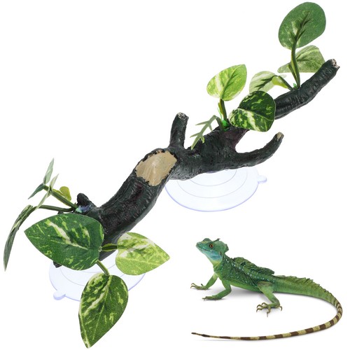 Branche coin des reptiles - coin,