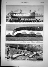 Original Old Antique Print Launch Hms Comus Eruption Mount Helca Iceland 1878