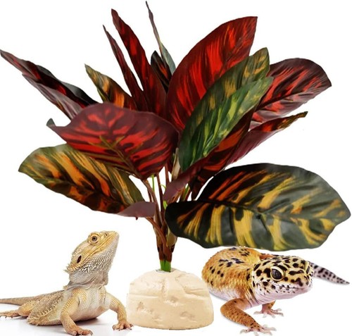 Reptile terrarium decor - reptile,