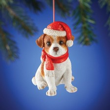 Adorable Chiot Jack Russel Avec Un Chapeau Et Une Écharpe De Noël