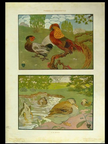 Canards coqs 1910 - et,