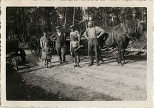 OLD PHOTO - VINTAGE SNAPSHOT - ANIMAL HORSE LINE HITCH - HORSE 1935