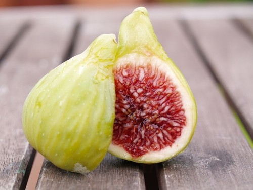Ficus carica col dame - ficus, de