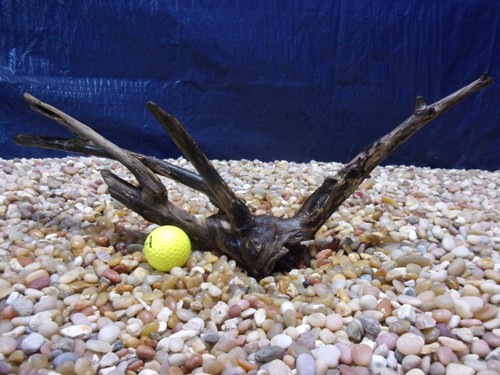 Medium driftwood x20 x03 - medium,