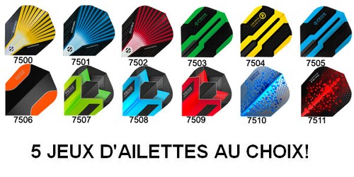 Jeux 15 ailettes de - 5, =