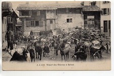 SUISSE SWITZERLAND SCHWEIZ - canton du VALAIS - SALVAN - Départ des Chevres