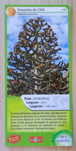 Carte merveilles monde - merveilles,