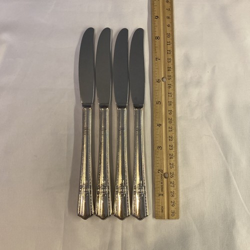 Grill viande knives - 4,
