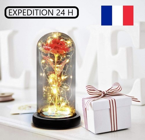 Rose éternelle lumineux - , sous