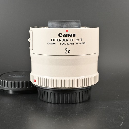 Téléconvertisseur canon - téléconvertisseur,