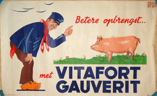 Rare Beautiful Belgian Advertising Poster 1951 Farmer Pig Vitafort Gauverit