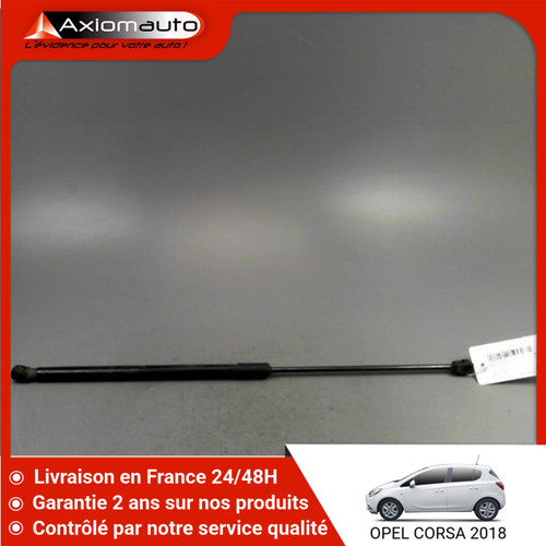 Verin hayon g opel - 🇫🇷,