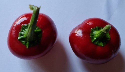 Graines piment rond - 20,