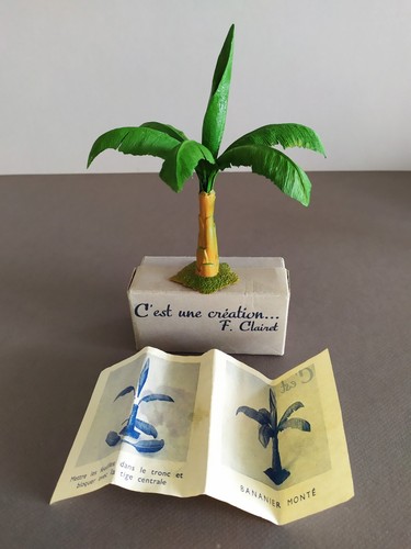 Clairet tres rare bananier - clairet,
