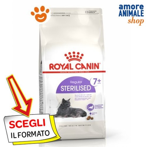 Royal canin chat régulier - royal,
