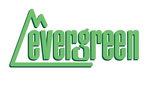 Evergreen 504061 panneaux de - 504061,