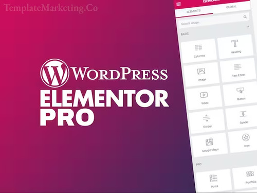 Elementor pro gpl - gpl, pour