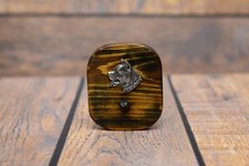 Amstaff Type 3 - Bois Cintre