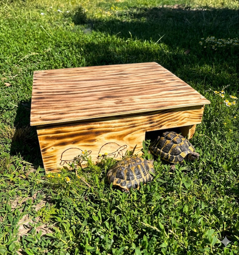 Cabane abri pour - cabane, tortues