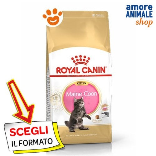 Royal canin chat fbn kitten - fbn,
