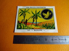 CHROMO 1939 CASINO LES FRUIT EXOTIC N°147 BANANA BANANA
