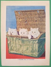 A Paniers Mfull Of Mischief