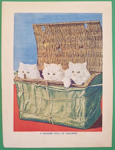 Paniers mfull mischief - paniers,