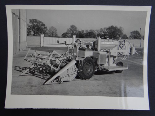 Vintage photo braud - vintage,