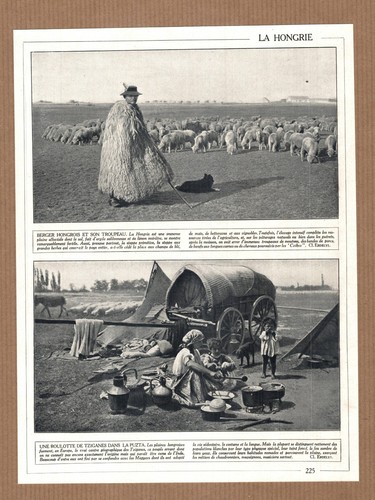 Planche ancienne hongrie - ancienne,
